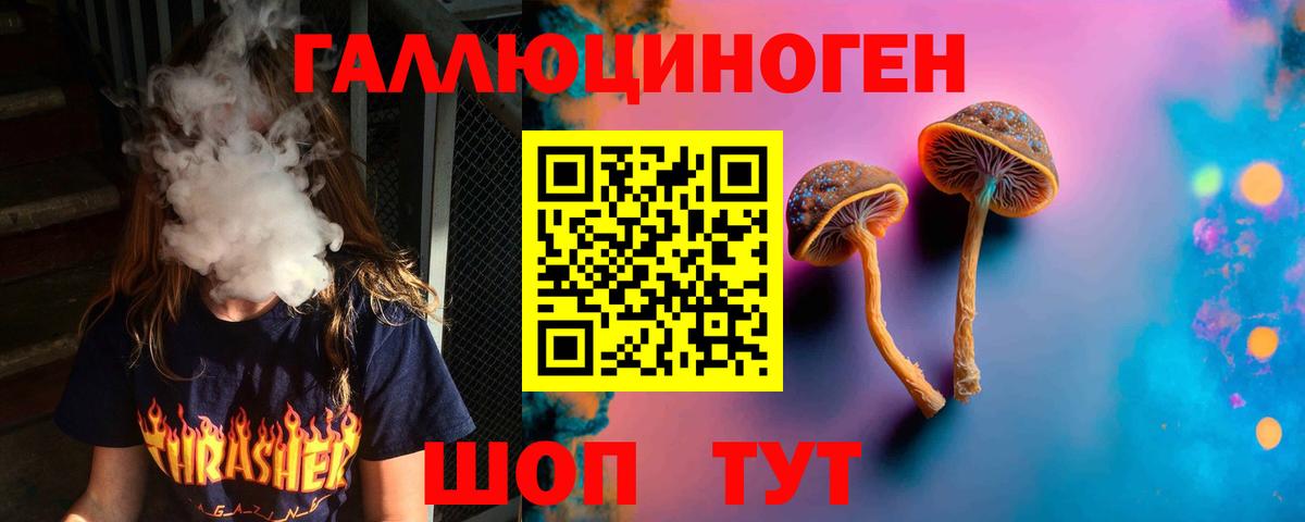 Галлюциногенные грибы прущие грибы  Вход с VPN  Тара 