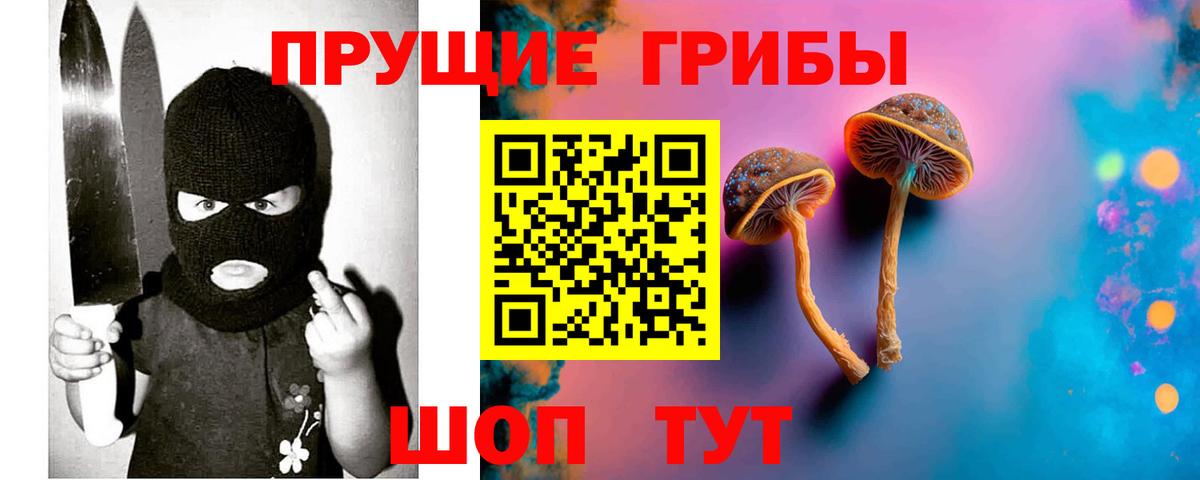 Псилоцибиновые грибы Psilocybine cubensis Тара